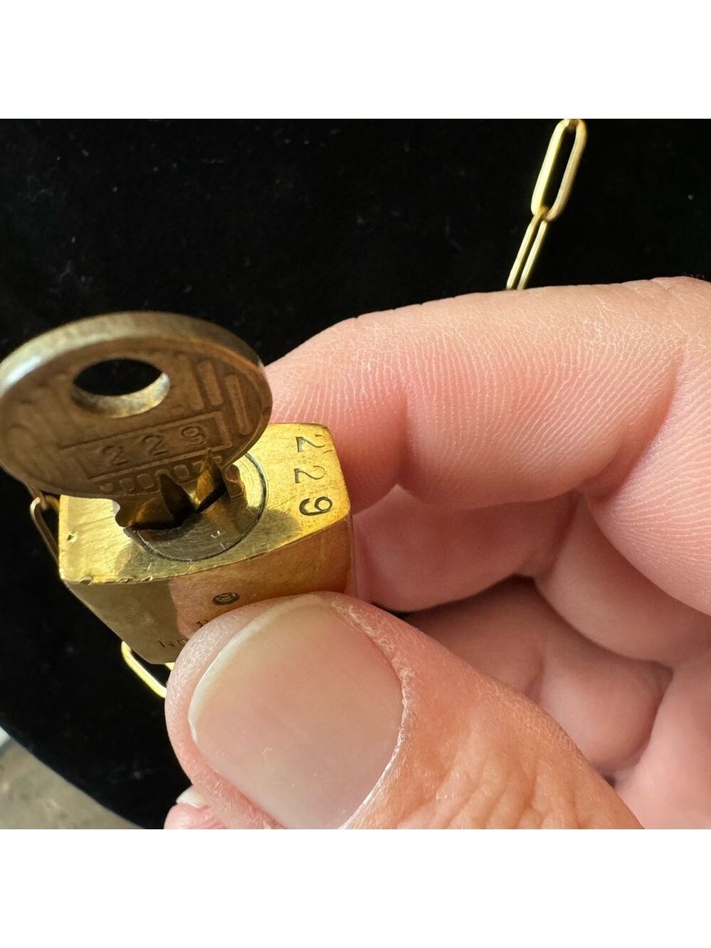 Louis Vuitton 200 Series Lock and Key on a chain. Number 229 - Picture 5 of 7